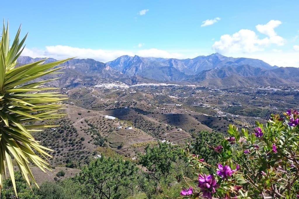Countryside Private Apartment With Pool & Sea View Torrox Eksteriør billede